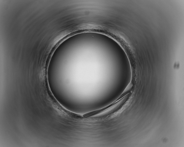 X0000100371073200806061150