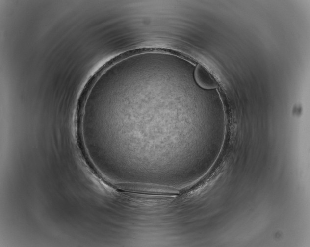 X0000100371076200806061150