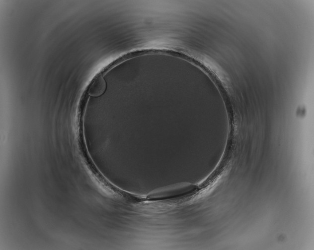 X0000100371077200806061150