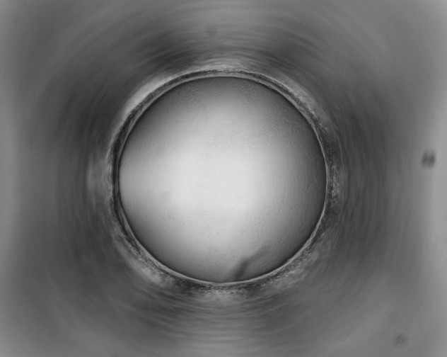X0000100371078200806061150