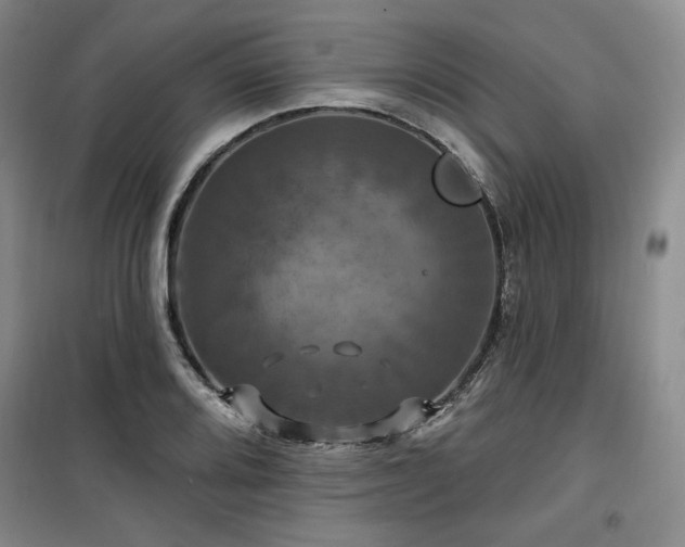 X0000100371080200806061150
