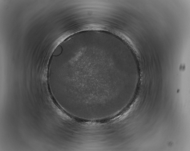 X0000100371081200806061150