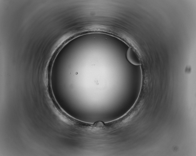X0000100371082200806061150