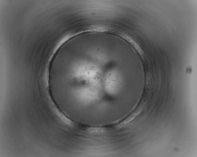 X0000100371083200806061150