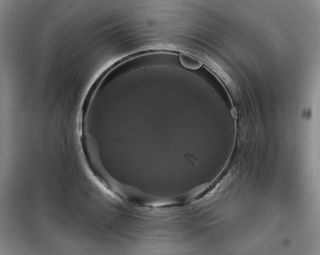 X0000100371084200806061150