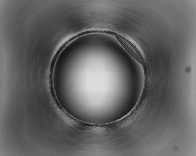 X0000100371085200806061150