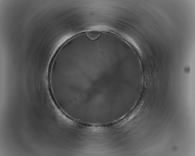 X0000100371087200806061150