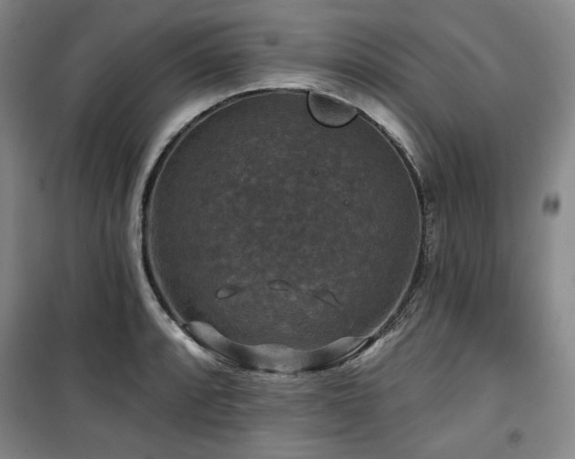 X0000100371088200806061150