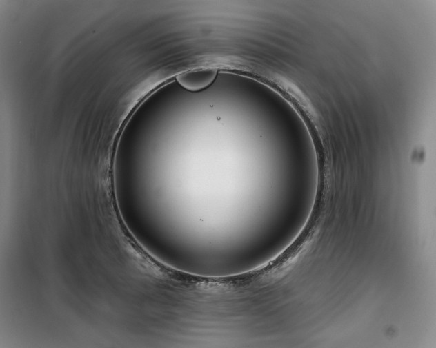 X0000100371089200806061150
