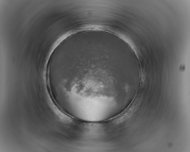 X0000100371090200806061150