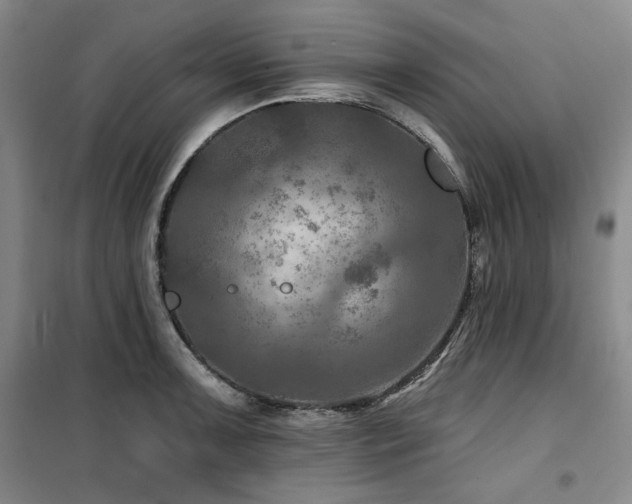 X0000100371091200806061150