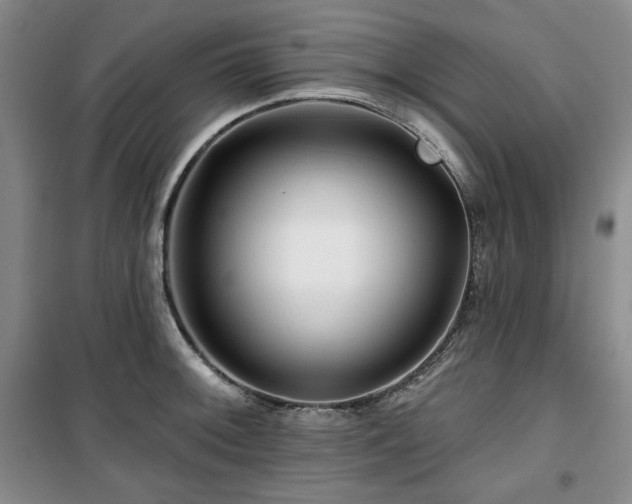 X0000100371092200806061150