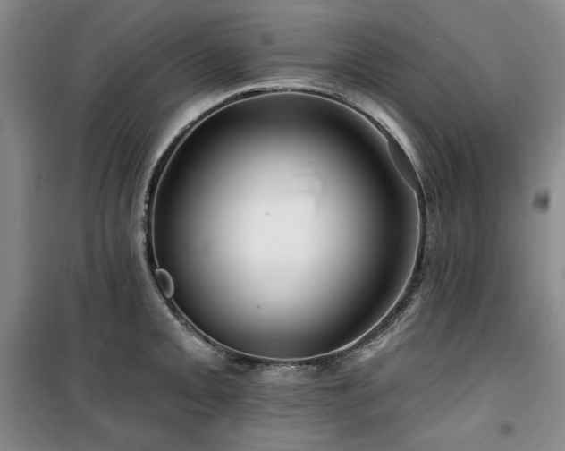 X0000100371093200806061150