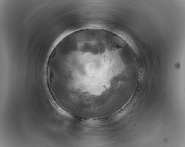 X0000100371094200806061150