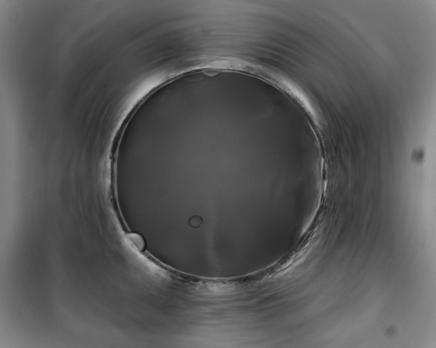 X0000100371095200806061150