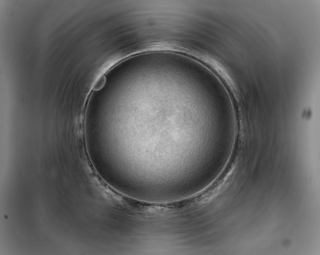 X0000100371097200806061150