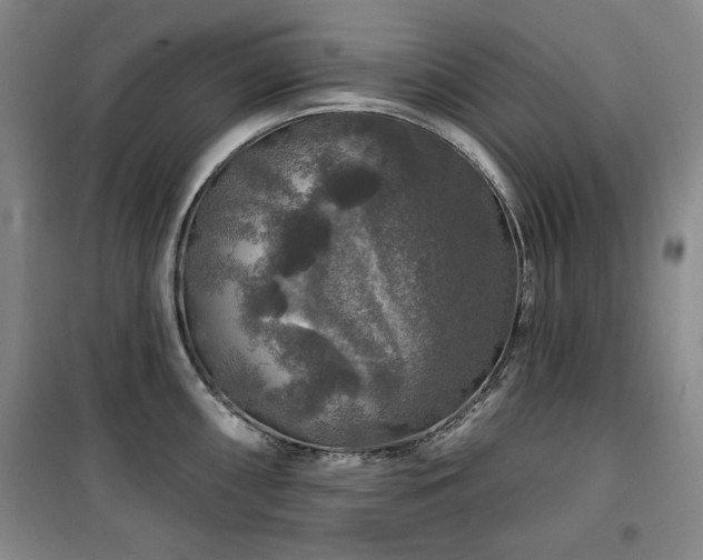 X0000100371098200806061150