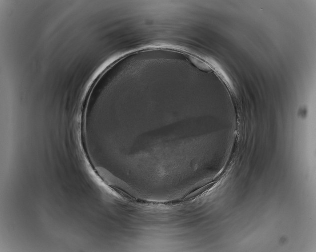 X0000100371100200806061150