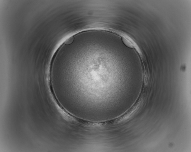 X0000100371101200806061150