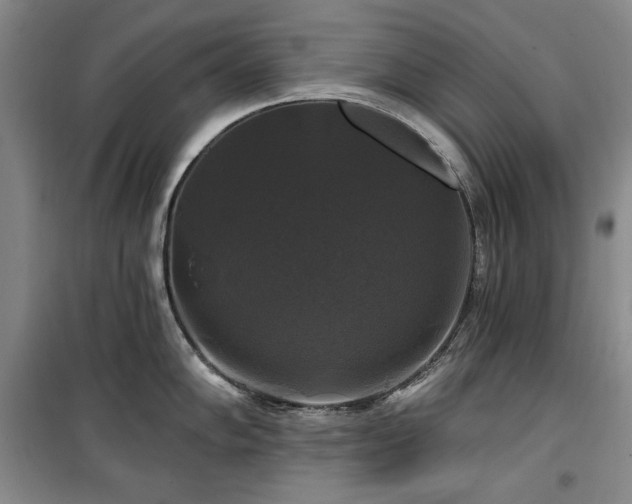X0000100371102200806061150