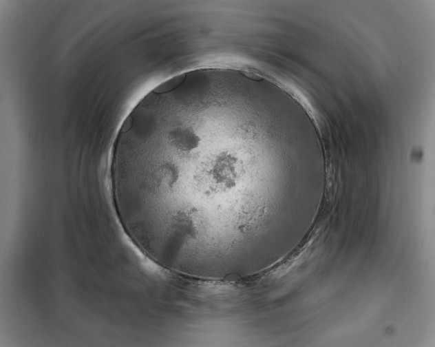X0000100371103200806061150
