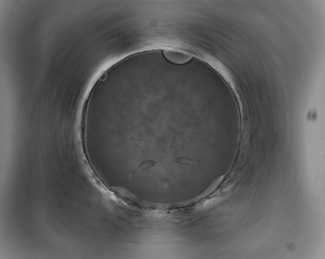 X0000100371104200806061150
