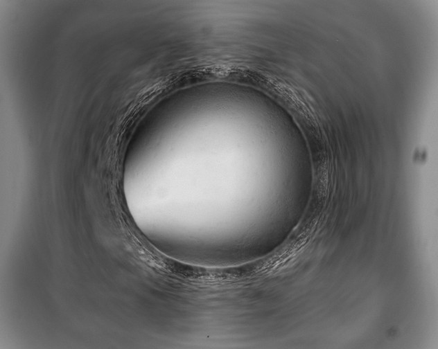 X0000100371105200806061149