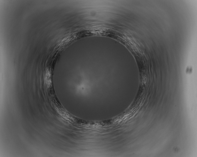 X0000100371106200806061149