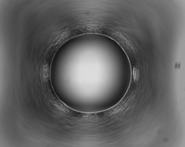 X0000100371107200806061149