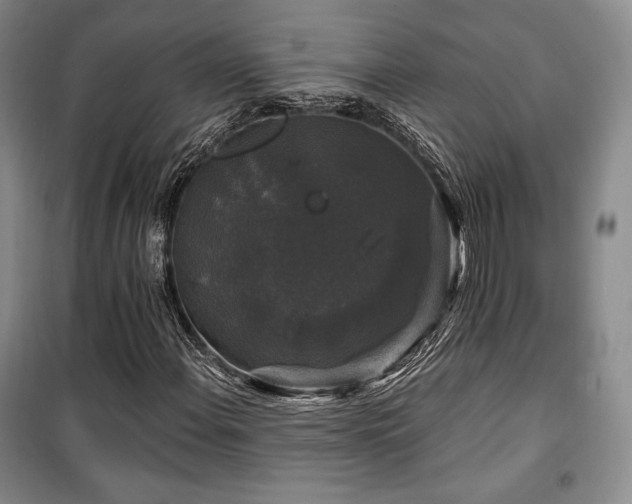 X0000100371108200806061149