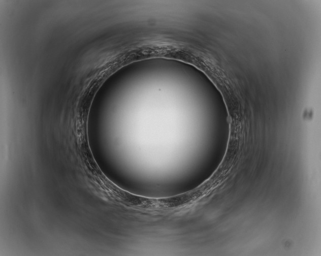 X0000100371109200806061149
