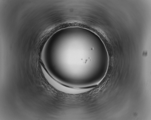 X0000100371111200806061149