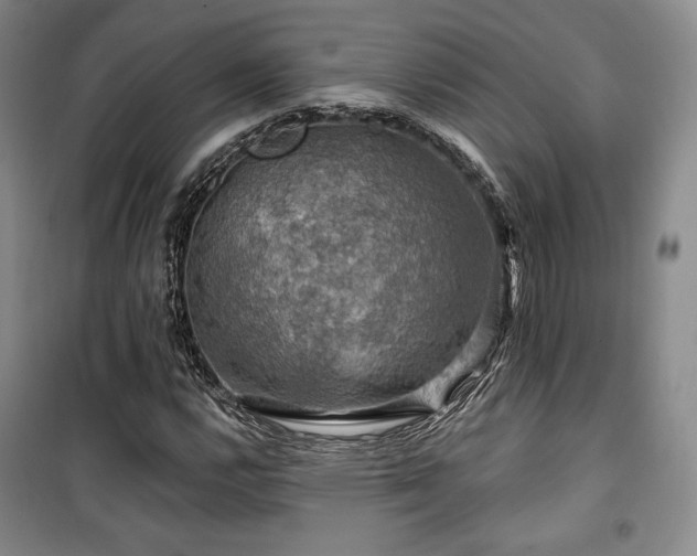 X0000100371112200806061149