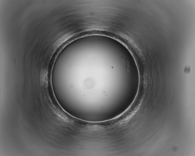 X0000100371113200806061149
