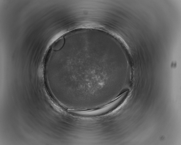 X0000100371114200806061149
