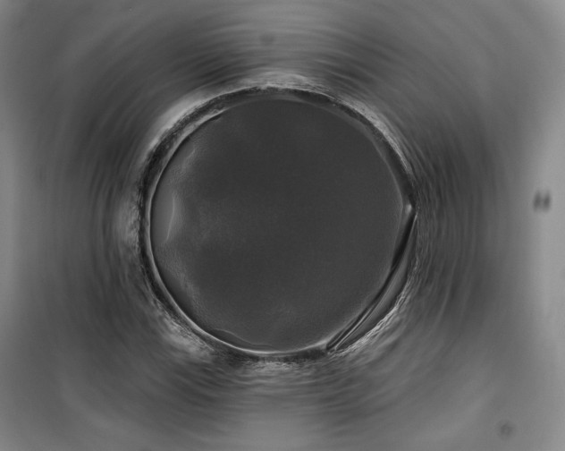 X0000100371115200806061149