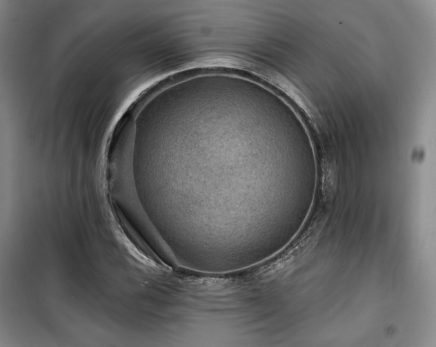 X0000100371116200806061149