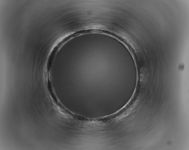 X0000100371117200806061149