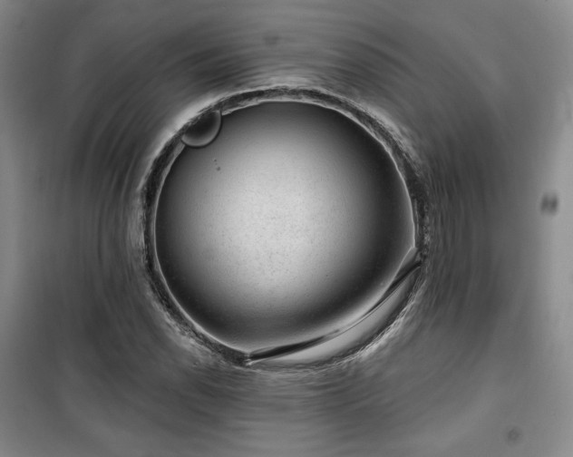 X0000100371118200806061149