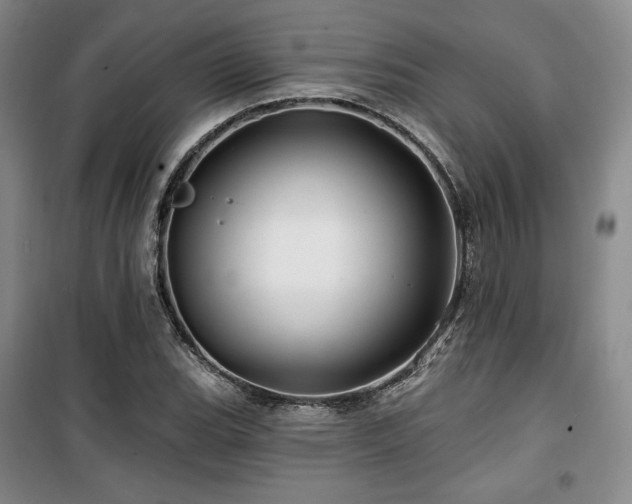 X0000100371119200806061149