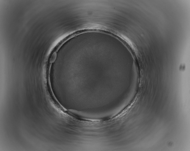 X0000100371120200806061149