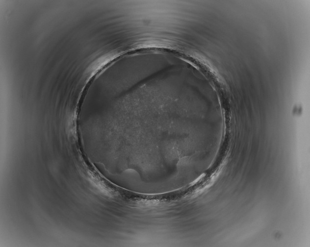 X0000100371121200806061149