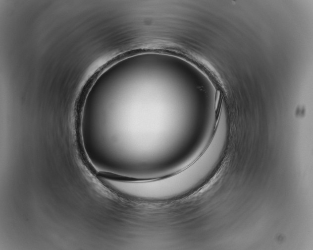 X0000100371122200806061149