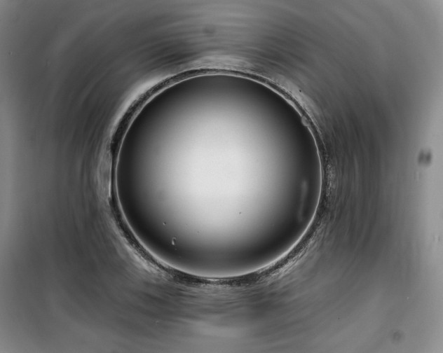 X0000100371123200806061149