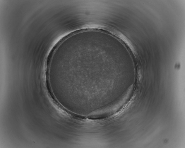 X0000100371124200806061149