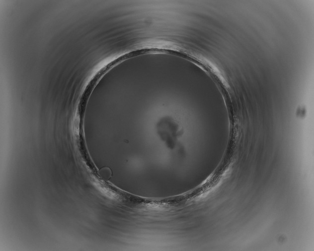X0000100371125200806061149