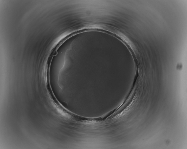 X0000100371127200806061149