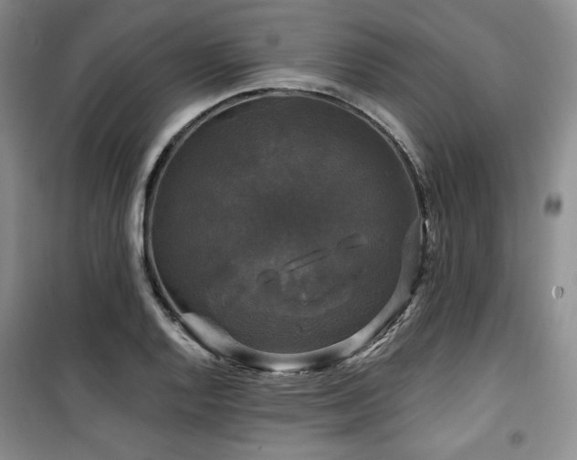 X0000100371128200806061149