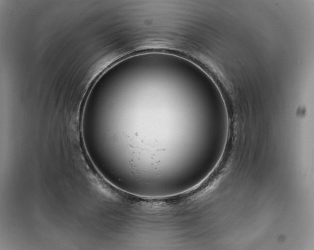 X0000100371129200806061149