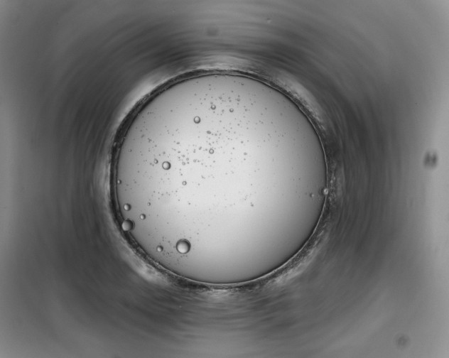 X0000100371130200806061149